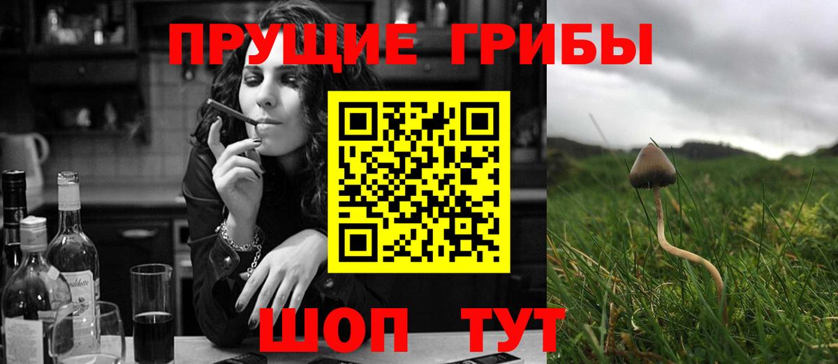 Стерлитамак  Псилоцибиновые грибы ЛСД  Вход с VPN 