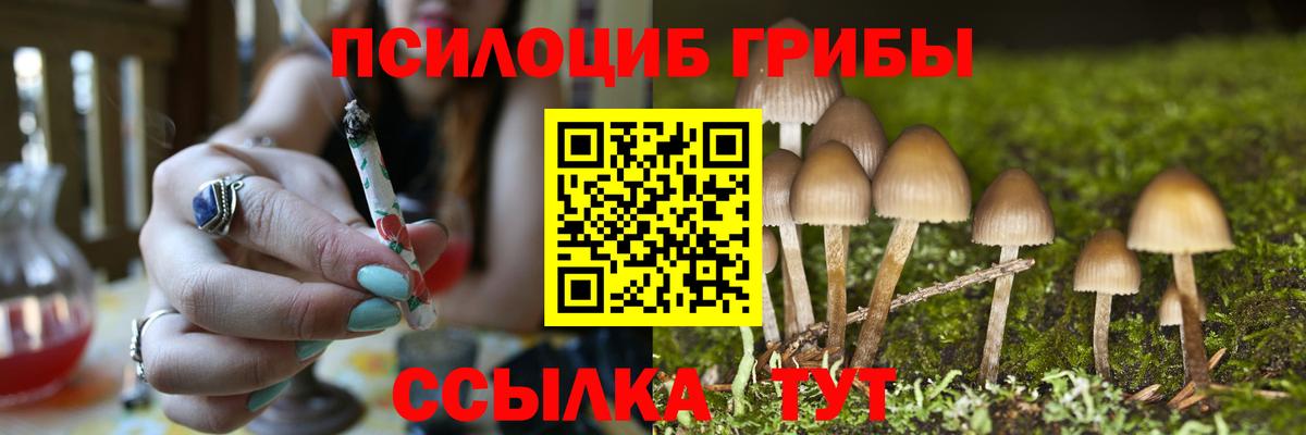 Галлюциногенные грибы Psilocybine cubensis Стерлитамак